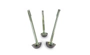 NEW - 50ml Ladle Made From 316 Stainless Steel